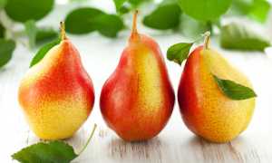 Груши при панкреатите
