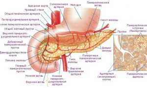 Увеличение поджелудочной железы