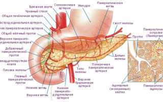 Увеличение поджелудочной железы