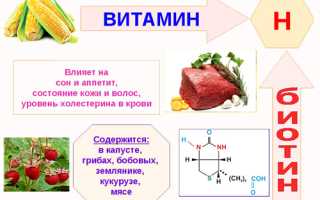 Про витамин В7 (он же биотин) и его функции в организме человека