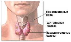 Если свободный Т4 в норме при повышенном ТТГ