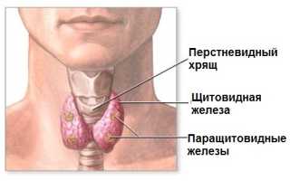Если свободный Т4 в норме при повышенном ТТГ
