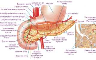 Симптомы и лечение поджелудочной железы