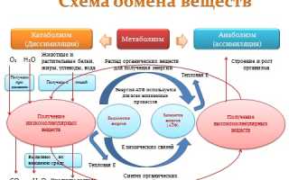 Таблица инсулинового индекса