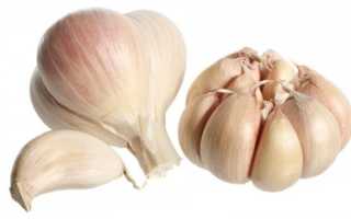 Лечение простатита чесноком
