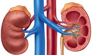 Гипофункция надпочечников