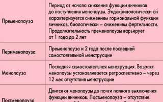 14 лучших средств от обильных месячных при климаксе