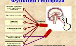 Повышение свободного Т4 при нормальном ТТГ
