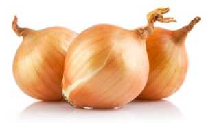 Лук при пакнреатите