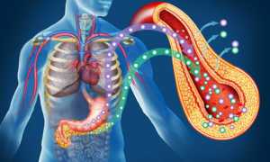 Причины повышения инсулина в крови