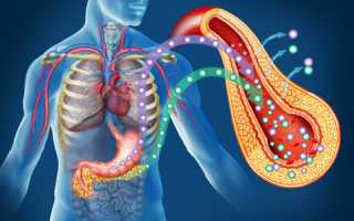 Причины повышения инсулина в крови