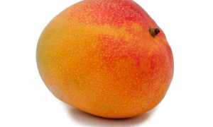 8 советов как чистить и есть манго — делаем это правильно, чтобы было вкусно