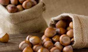 15 видов орехов: рейтинг 2023 года. Название, описание, фото