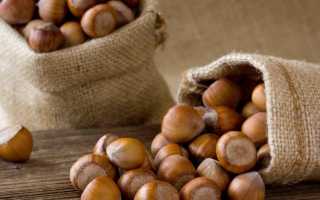 15 видов орехов: рейтинг 2023 года. Название, описание, фото