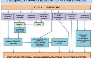 Разбираемся, что такое гипоксия у взрослых и детей