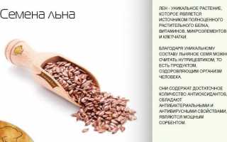 Маленькое семя льна от холестерина: как применять, рецепты