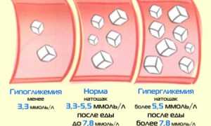 Норма инсулина в крови