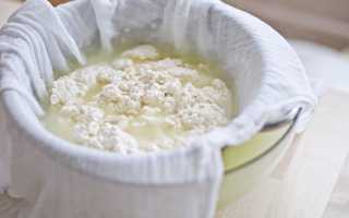 Можно ли есть творог при панкреатите