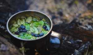 Снижение сахара в крови народными средствами
