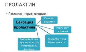Низкий пролактин — что это означает?