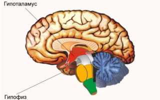 Как правильно сдать анализ на пролактин?