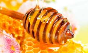 Мед при панкреатите