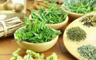 Травы от панкреатита и холецистита