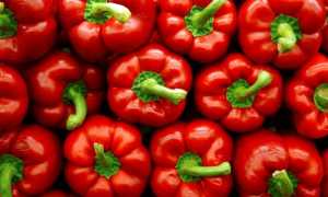 Болгарский перец при панкреатите
