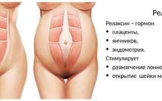 Какие они, гормоны сердца?