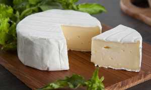 Обзор самых лучших сыров в мире, какие они: ТОП-28 в 2023 году