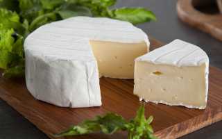 Обзор самых лучших сыров в мире, какие они: ТОП-28 в 2023 году