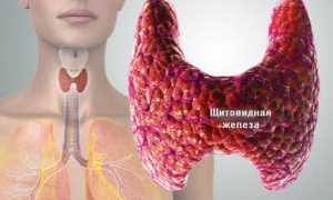 Пониженная функция щитовидки