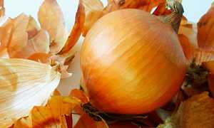 Луковая шелуха от простатита