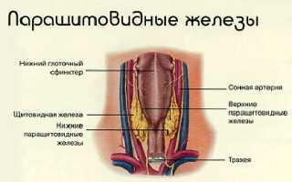 Если повышен ПТГ