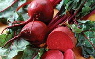 Можно ли есть свеклу при панкреатите?