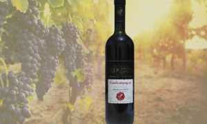 24 самых лучших вина из Грузии. Свежий Рейтинг 2023 года