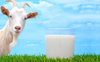 Козье молоко при панкреатите