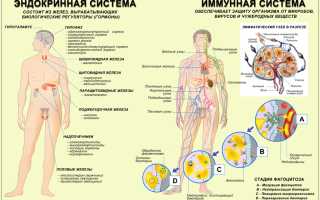 Смертельная доза инсулина для здорового человека
