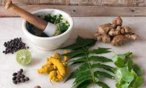 Народные средства лечения щитовидки