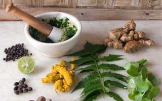 Народные средства лечения щитовидки