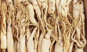 Восстановление мужской силы народными средствами