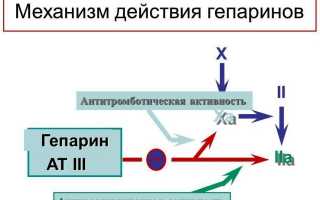 Основы лечения геморроя лекарственными препаратами