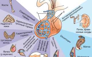 Если ФСГ выше нормы