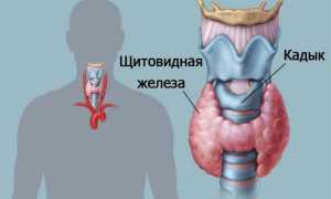 Что показывают анализы на ТТГ, Т4 и Т3