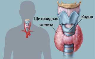 Что показывают анализы на ТТГ, Т4 и Т3