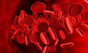 Нормы глюкозы в крови