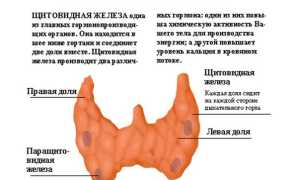 Норма гормона Т4