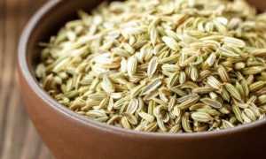 Семена укропа при панкреатите