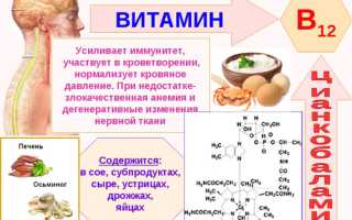 Для чего нашему организму нужен витамин В12