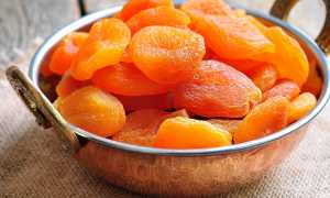 Самые вкусные и полезные сухофрукты с подробным описанием каждого вида